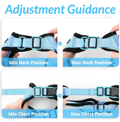rabbitgoo Cat Harness and Leash for Walking, Escape Proof Soft Adjustable Vest Harnesses for Small Medium Cats, Easy Control Breathable Reflective Strips Jacket, XS, Black