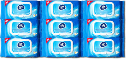 Vinda 720 Count (9 Packs) Antibacterial Wipes, Cleaning, Sanitizing, Hand Wipes for Home, Office, Travel and Outdoor Use, Good for Sensitive Skin, Clean Refreshing Scent (9 Pack)