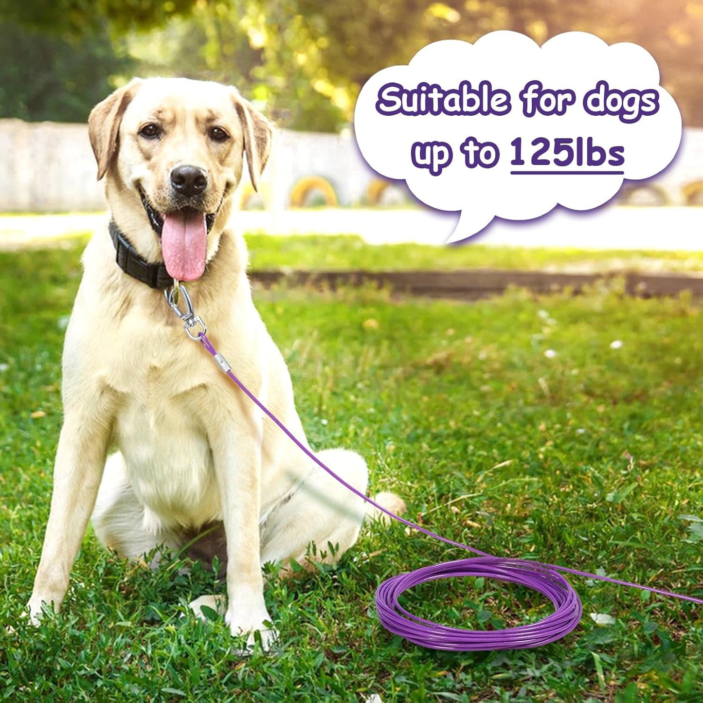 Dog Tie Out Cable Chew Proof, Long Dog Leash 30FT, Dog Runner for Yard Heavy Duty, Dog Chains for Outside, Sturdy Long Line Lead for Dogs Training Outdoor in Yard or Camping