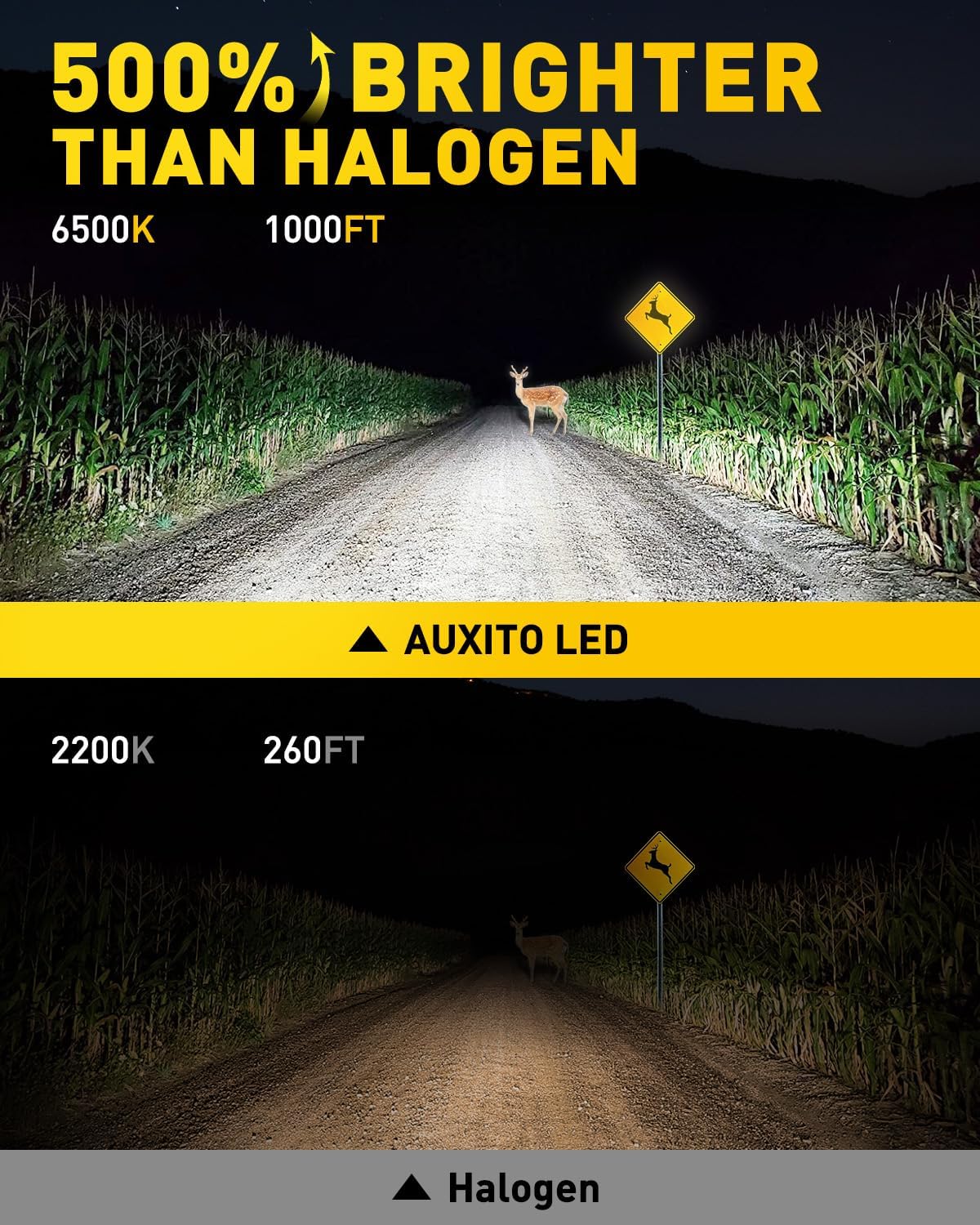 AUXITO H11 LED Headlight Bulbs, 400% Brighter 6500K White Wireless LED Headlights for H8 H9 H16 Fog Lights, DRL, Low Beam or High Beam, Direct Install Plug and Play, IP68 Waterproof, Pack of 2