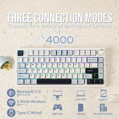 EPOMAKER x Aula F75 Gasket Mechanical Keyboard, 75% Wireless Hot Swappable Gaming Keyboard with Five-Layer Padding&Knob, Bluetooth/2.4GHz/USB-C, RGB (Black Gradient, LEOBOG Reaper Switch)