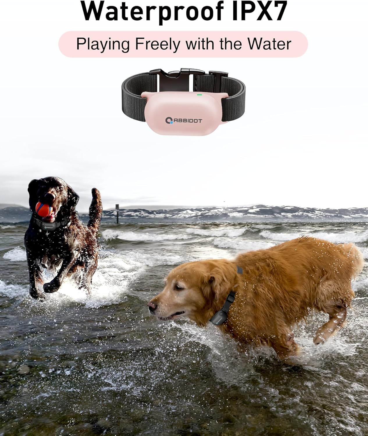 ABBIDOT Shock Collar (8-120 lbs) - Small Size Dog Training Collar with Remote Waterproof Rechargeable Dog Shock Collar with Remote E Collar for Small Medium Large Dogs (Light Blue)