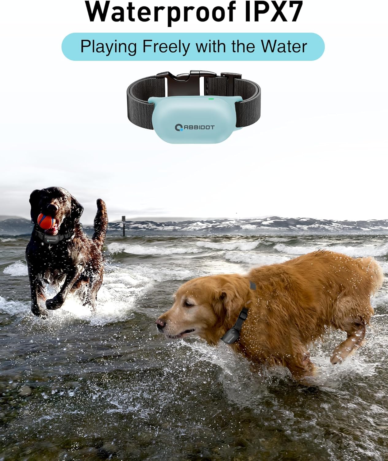 ABBIDOT Shock Collar (8-120 lbs) - Small Size Dog Training Collar with Remote Waterproof Rechargeable Dog Shock Collar with Remote E Collar for Small Medium Large Dogs (Light Blue)