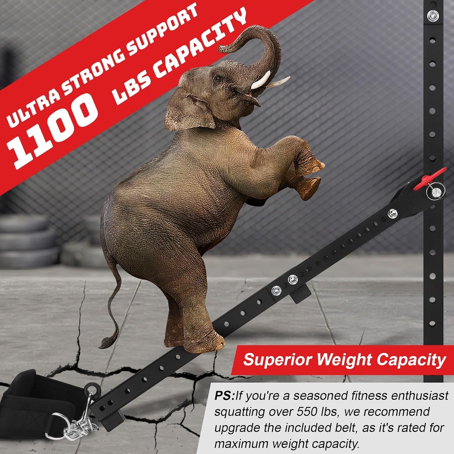 Belt Squat Attachment, Universal size, Black