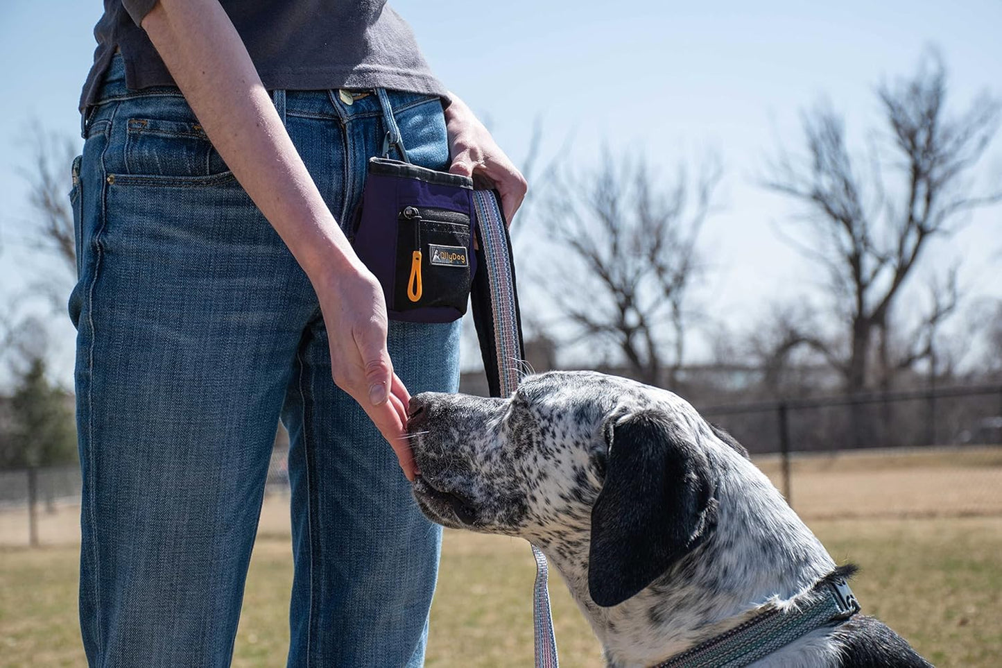 OllyDog Goodie Treat Bag, Dog Treat Pouch, Waist Belt Clip for Hands-Free Training, Magnetic Closure, Dog Training and Behavior Aids, Three Ways to Wear (Wet Weather)
