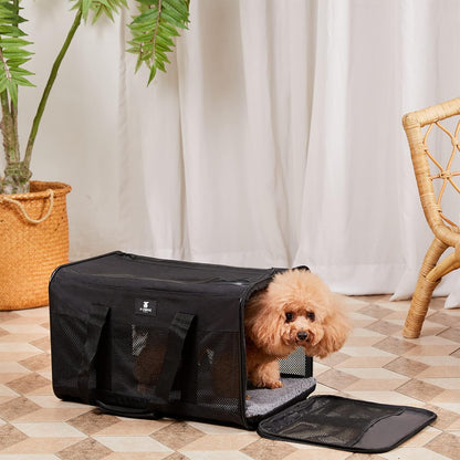 X-ZONE PET Cat Carrier Dog Carrier Pet Carrier for Small Medium Cats Dogs Puppies of 15 Lbs,Airline Approved Soft Sided Pet Travel Carrier,Dog Carriers for Small Dogs - Black Grey Purple Blue Brown