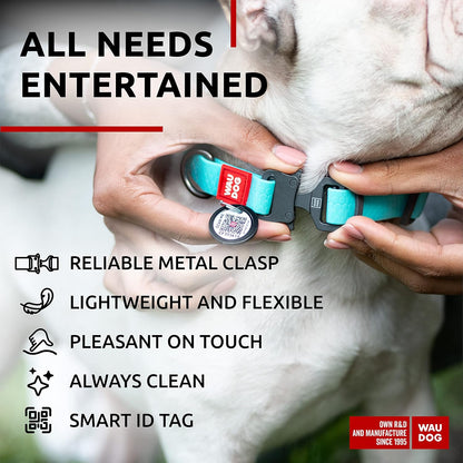 Waterproof Dog Collar - Adjustable Glow Dog Collar for Large Dogs, Small and Medium Dogs - Heavy Duty Dog Collars with Durable Metal Clasp and QR Dog Tag - Glow in The Dark Dog Collars