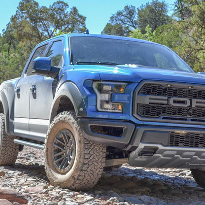 ONE250 Bullet Style Antenna, Compatible with Dodge RAM (RAM 1500, RAM 2500 or RAM 3500 1994-2024) & Ford F-Series (F-150 F-250 F-350 Super Duty Ford Raptor Ranger Trucks 1997-2024) (Silver)