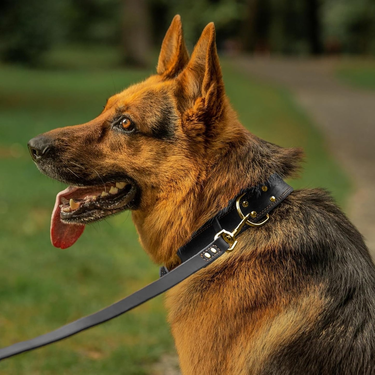 ADITYNA Heavy-Duty Leather Dog Collar for Medium Dogs - Soft and Strong, 100% Genuine Leather - Collier Pour Chien (Medium: Fit 13" - 20" Neck, Brown)