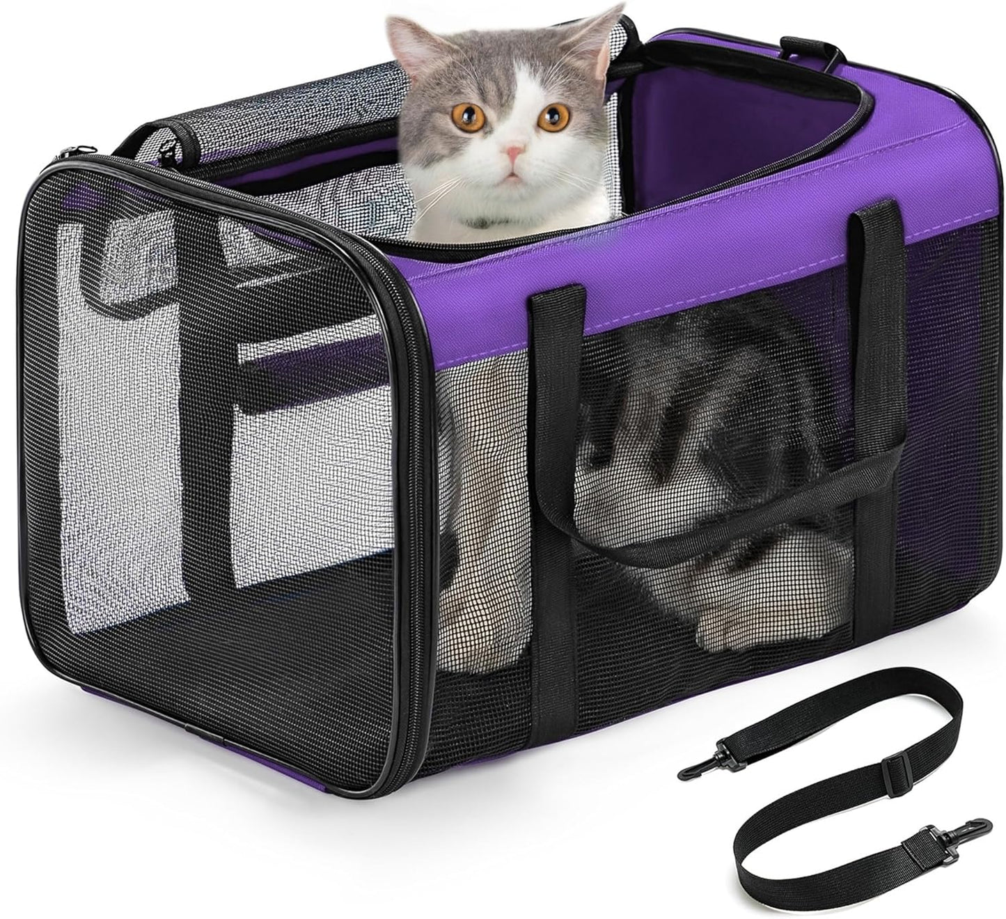 Conlun Cat Carrier Bag,Soft-Sided Pet Carriers for Dogs with 4-Sided Mesh,Airline Approved Cat Transport Carrier for Small&Medium Cats Kitten Puppy Up to 6Kg,Collapsible Cat Travel Carrier-M,Black