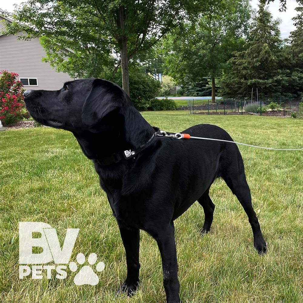 BV Pet Small Tie Out Cable for Dog up to 35 Pound, 25-Feet