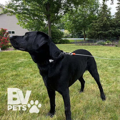 BV Pet Small Tie Out Cable for Dog up to 35 Pound, 25-Feet