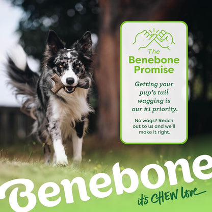 Benebone 4-Pack Durable Dog Chew Toys for Aggressive Chewers, Real Flavors, Made in USA, Medium