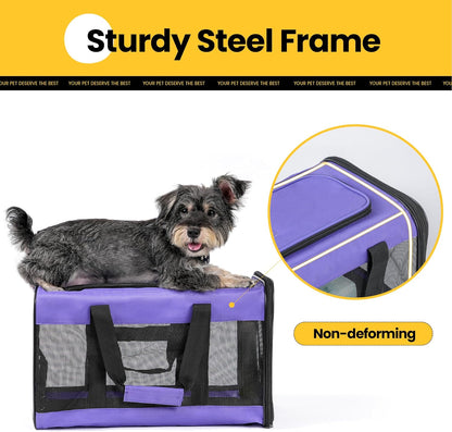 Conlun Cat Carrier Airline Approved, Soft-Sided Dog Carrier with Inner Safety Leash, Pet Transport Carrier for Small-Medium Cats Puppies up to 15 Lbs, Collapsible Travel Kitten Carrier Bag -Black M