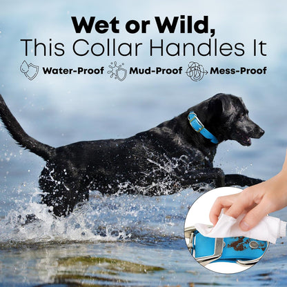 Regal Dog Products Small Orange Waterproof Hunting Dog Collar with Heavy Duty Black Hardware Buckle & D Ring | Custom Fit Vinyl-Coated Webbing Water Resistant Collar for Small, Medium & Large Dogs