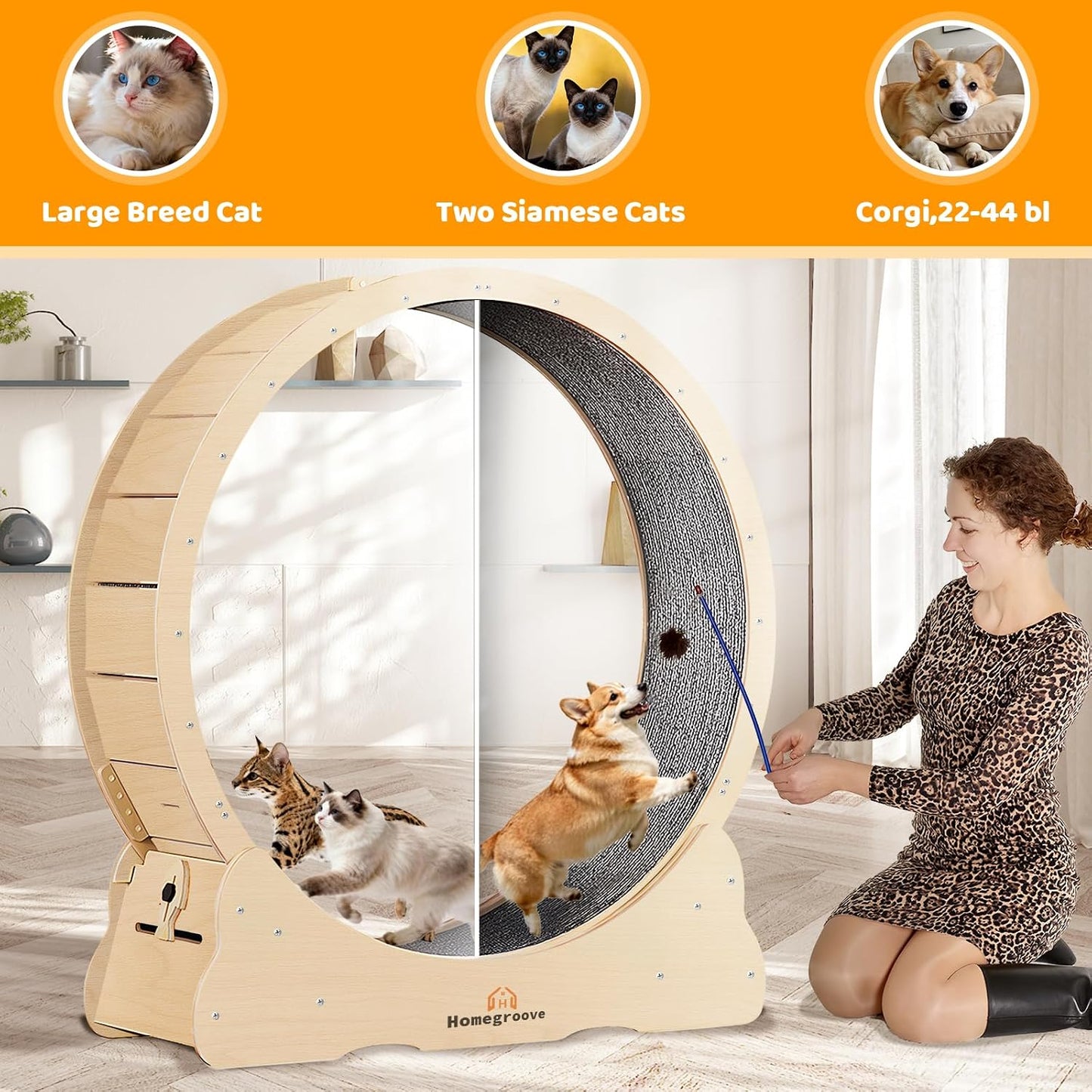 Homegroove Cat Wheels for Indoor Cats, Cat Exercise Wheel Treadmill with Carpeted Runway, Cat Running Wheel for Kitty’s Longer Life, Fitness Weight Loss Device, (XXL, Natural Wood)