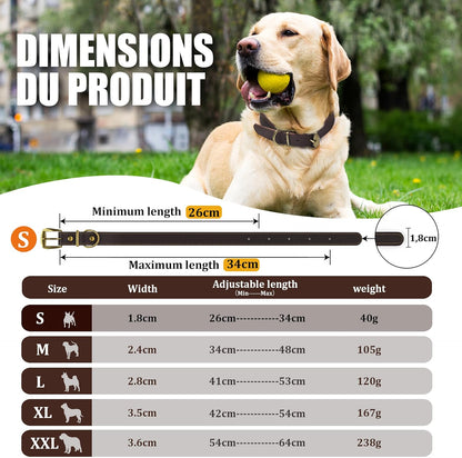 QRDA Leather Dog Collar Brown Dog Training Collar Heavy Duty Premium Leather Dog Collar Dog Collars for Medium/Large Dogs