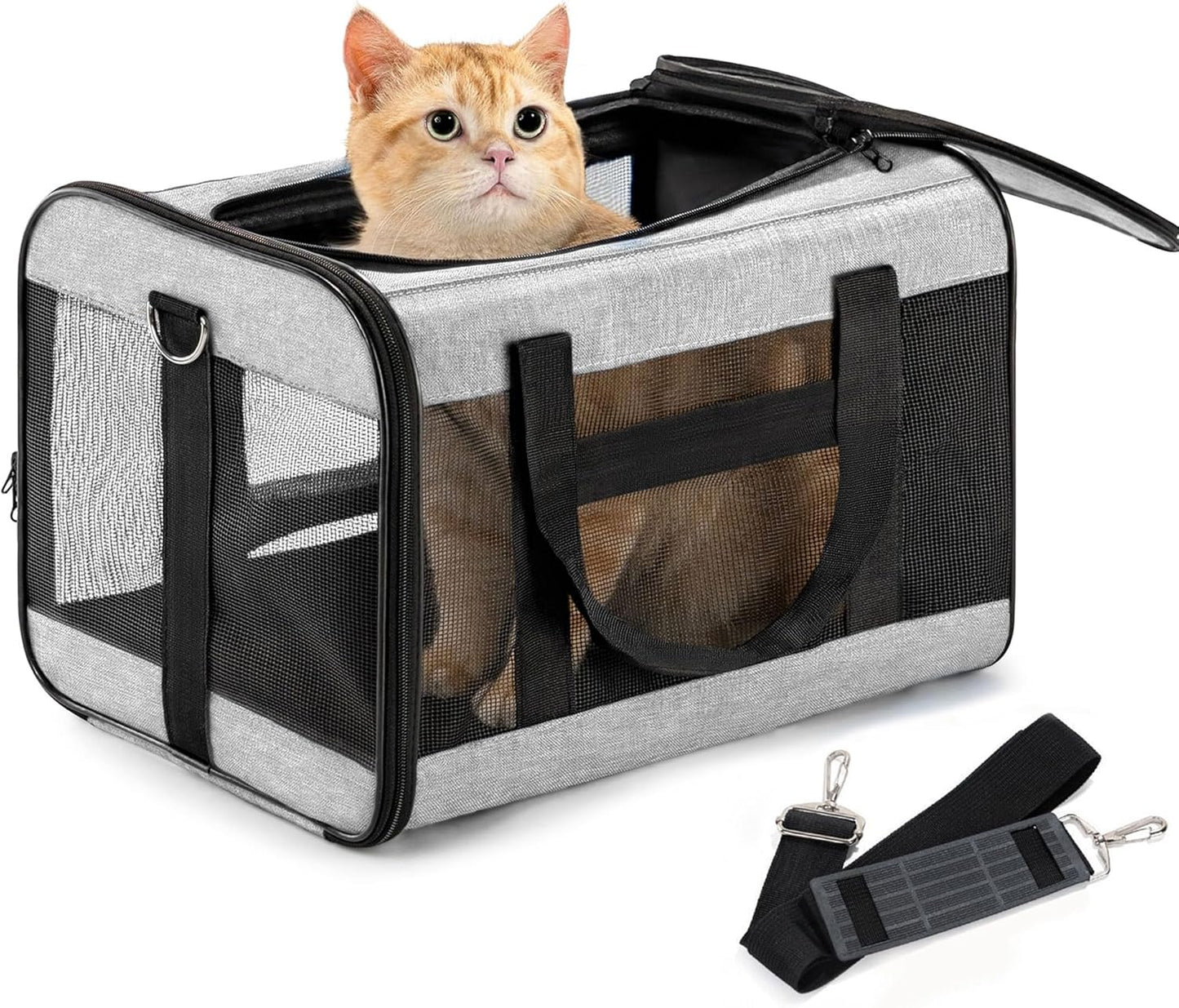 Conlun Cat Carrier Airline Approved, Soft-Sided Dog Carrier with Inner Safety Leash, Pet Transport Carrier for Small-Medium Cats Puppies up to 15 Lbs, Collapsible Travel Kitten Carrier Bag -Black M
