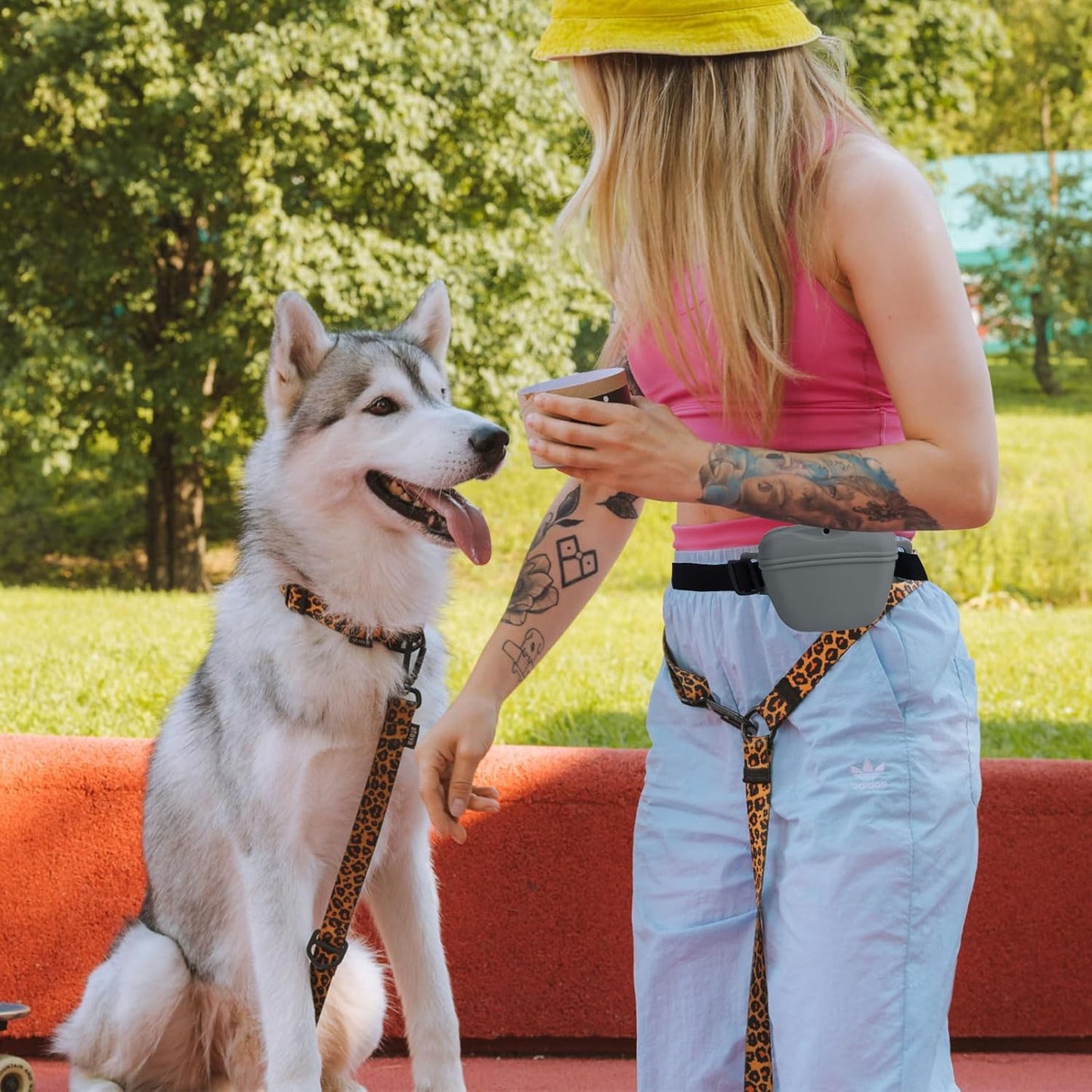 Dog Treat Pouch for Training, Silicone Magnetic Closure Dog Treat Bag Portable Treat Pouch with Belt, Waterproof Small Treat Bag for Dog Training, Dog Walking (Gray)