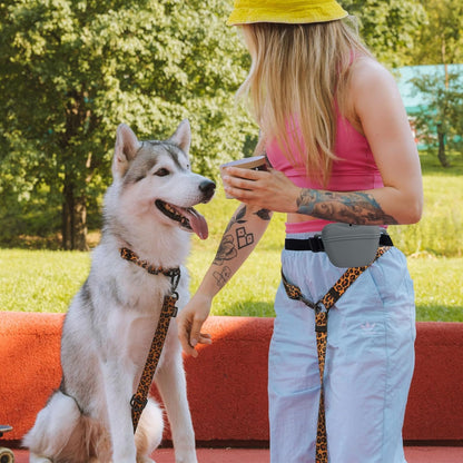 Dog Treat Pouch for Training, Silicone Magnetic Closure Dog Treat Bag Portable Treat Pouch with Belt, Waterproof Small Treat Bag for Dog Training, Dog Walking (Gray)