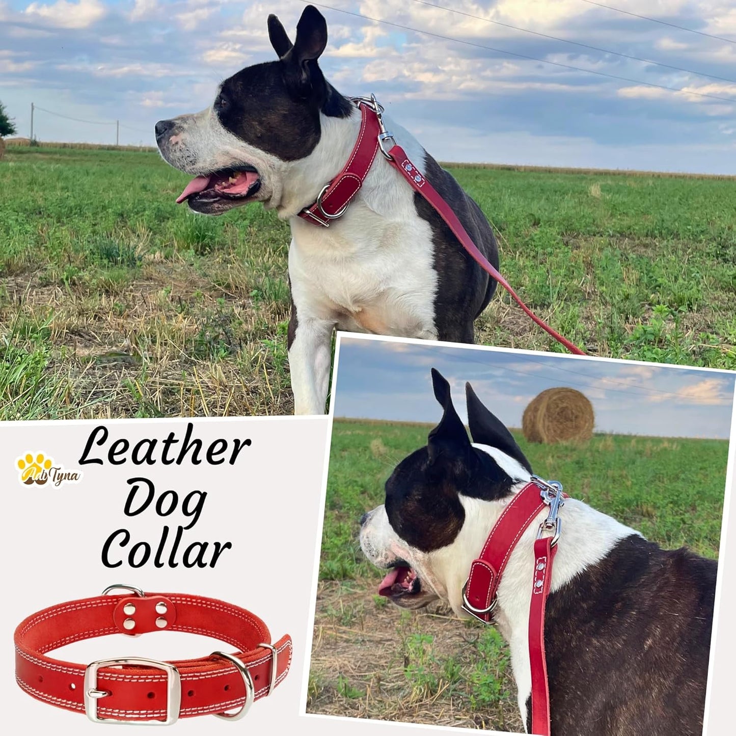 ADITYNA Heavy-Duty Leather Dog Collar for Medium Dogs - Soft and Strong, 100% Genuine Leather - Collier Pour Chien (Medium: Fit 13" - 20" Neck, Brown)