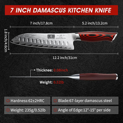 HOSHANHO Fillet Knife 7 Inch, Damascus Steel Boning Knife, Professional Fish Fillet Knife for Meat Chicken Cutting, Meat Knife with G10 Ergonomic Handle