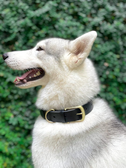 Tuff Pupper Classic Heavy Duty Dog Collar | 10x Stronger Than Leather | 100% Waterproof & Odor Proof Dog Collar | Tough Rust-Proof All Metal Hardware