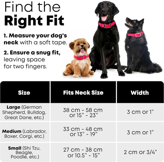 Regal Dog Products Large Pink Heavy Duty Reflective Dog Collar with Center Ring, Metal Buckle and D Ring | Anti-Odor Adjustable Biothane Waterproof Dog Collar | Other Sizes for Small & Medium Dogs - PuriLite