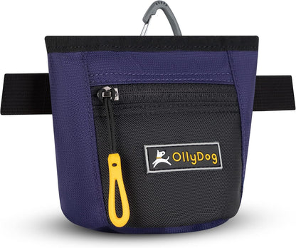 OllyDog Goodie Treat Bag, Dog Treat Pouch, Waist Belt Clip for Hands-Free Training, Magnetic Closure, Dog Training and Behavior Aids, Three Ways to Wear (Iceberg Green)