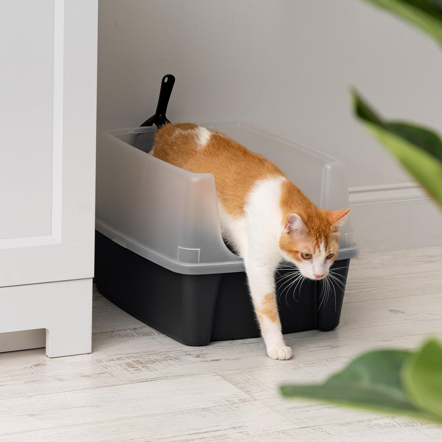 IRIS USA Large Cat Litter Box with Scoop, Open Top Cat Litter Pan, Black