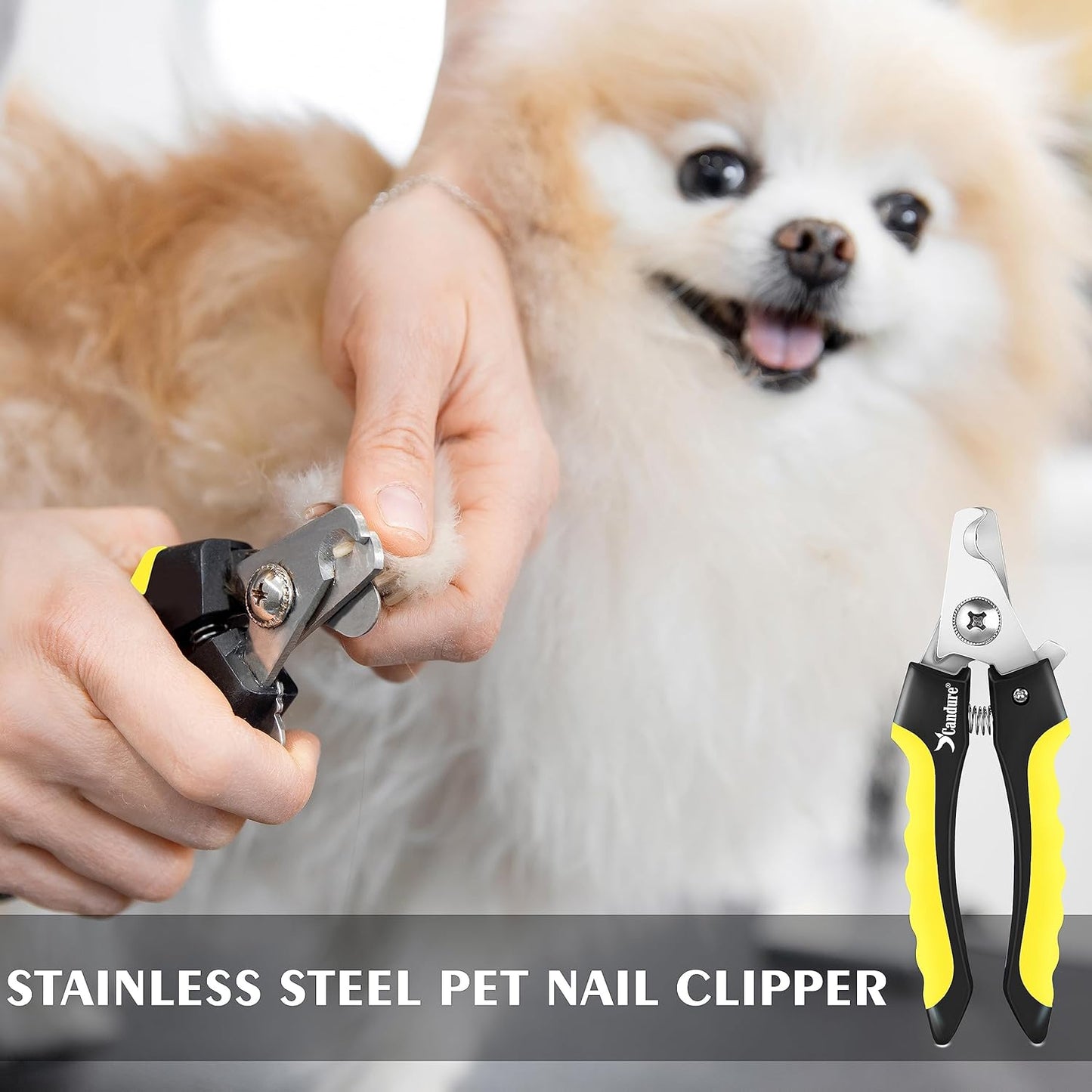 Candure Cat Nail Clippers Stainless Steel Cat Claw Trimmers for Rabbits,Guinea Pigs, Birds, Puppies, Kittens and Small Animals- Pet Nail Clippers for Professional and Home Use (Black)