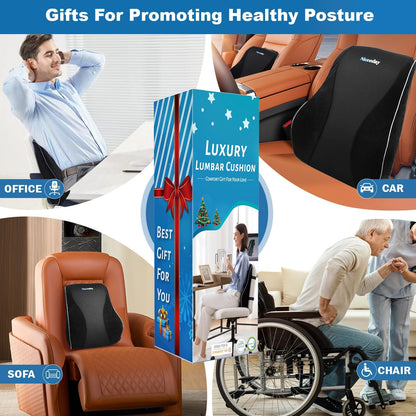 Gel Lumbar Support for Office Chair Back Support for Lower Back Pain Relief Cooling Chair Back Support Cushion Improves Posture Back Rest Memory Foam Back Support Pillow for Gaming Chair, Driving Seat