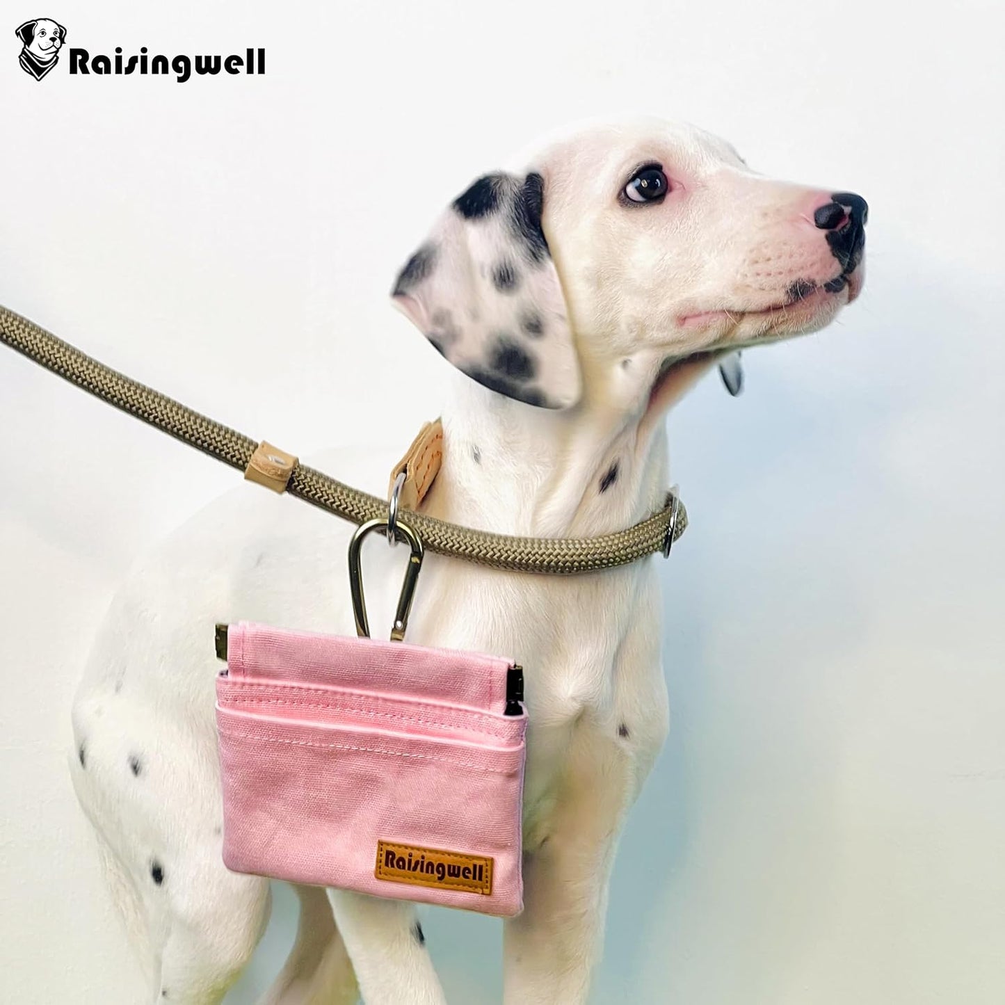 Raisingwell Dog Treat Pouch, Black Pocket Sized Pet Training Pouch, Cotton Fabric, Hand Free Dog Walking Bag with Carabiner, Self-Closing Pet Feed Snack Reward, for Pet Puppy Travel or Outdoor Use