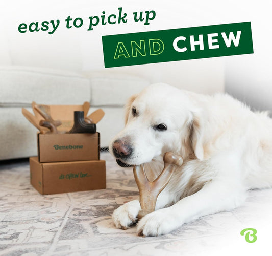 Benebone 4-Pack Durable Dog Chew Toys for Aggressive Chewers, Real Flavors, Made in USA, Medium - PuriLite