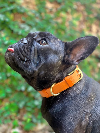Tuff Pupper Classic Heavy Duty Dog Collar | 10x Stronger Than Leather | 100% Waterproof & Odor Proof Dog Collar | Tough Rust-Proof All Metal Hardware