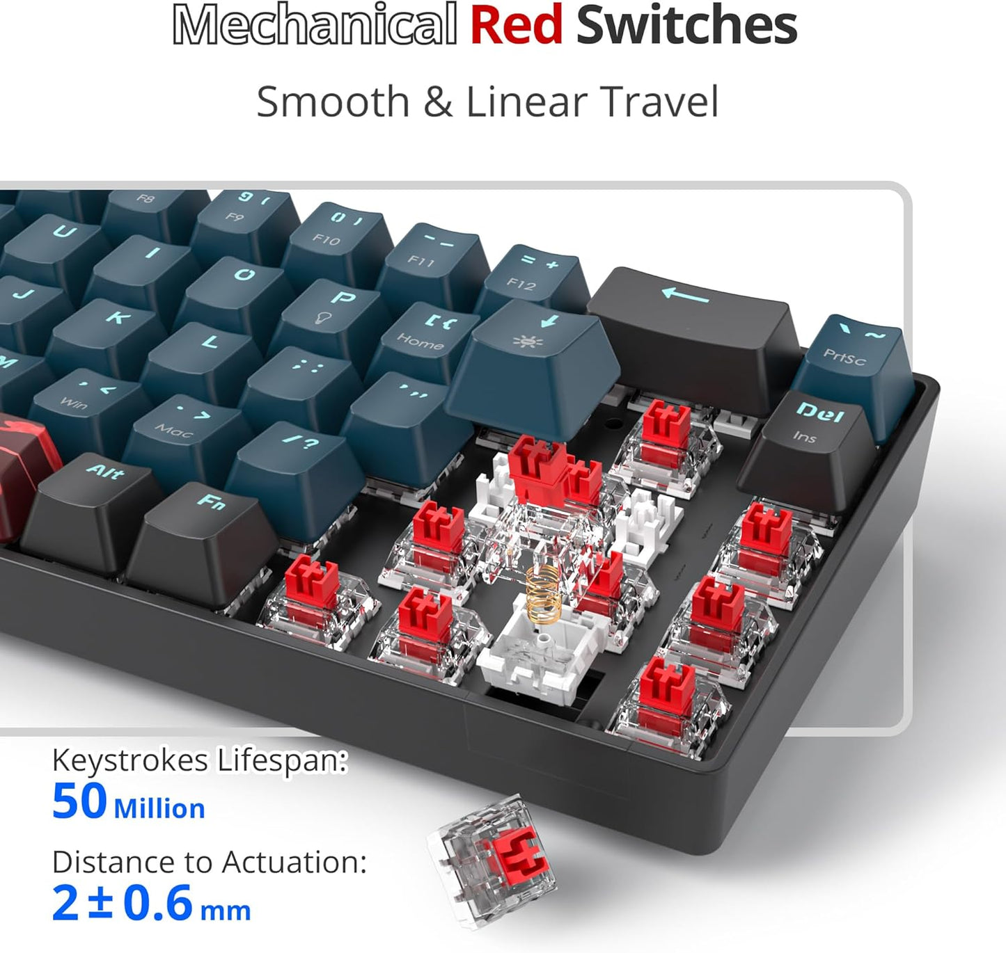Fogruaden Full Size Mechanical Keyboard, Green Matcha Keyboard, Wired USB 104 Keys RGB Backlit Gaming Keyboard with Number Pad, Red Switches, NKRO Mechanical Keyboard for Windows Laptop PC Gamer