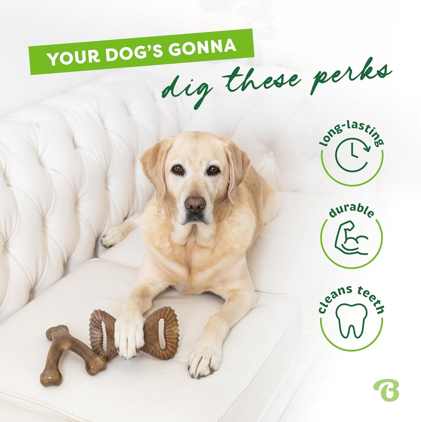 Benebone 4-Pack Durable Dog Chew Toys for Aggressive Chewers, Real Flavors, Made in USA, Medium