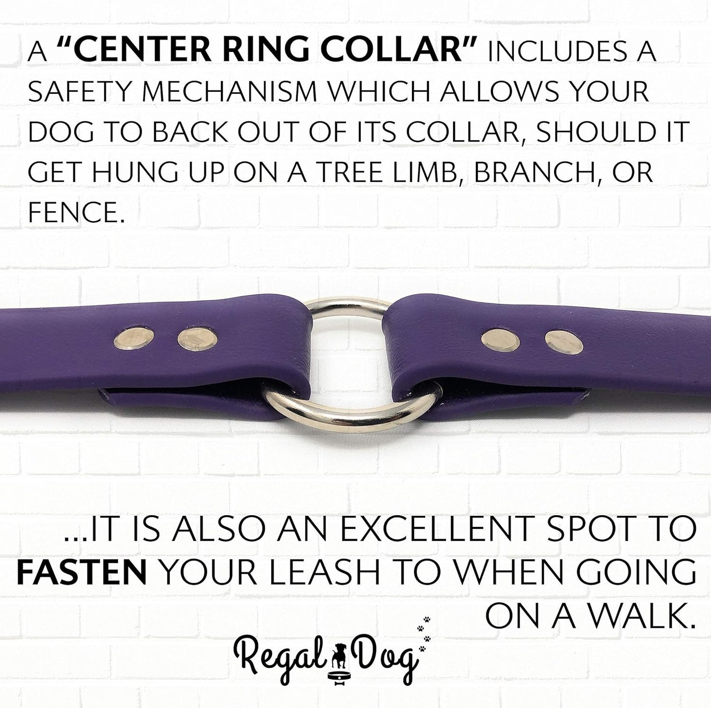 Regal Dog Products Small Orange Waterproof Dog Collar and Leash Set - Vinyl Coated, Biothane Puppy Pet Training Collar with Heavy Duty Center Ring & 5'ft Leash - Other Sizes for Medium & Large Dogs