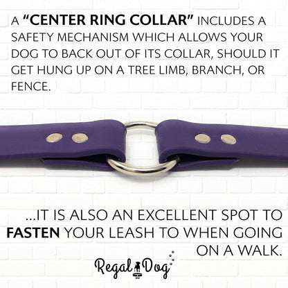 Regal Dog Products Small Orange Waterproof Dog Collar and Leash Set - Vinyl Coated, Biothane Puppy Pet Training Collar with Heavy Duty Center Ring & 5'ft Leash - Other Sizes for Medium & Large Dogs