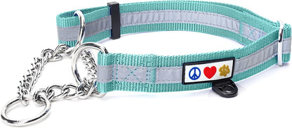 Pawtitas Chain Martingale Dog Collar Puppy Collar Reflective Dog Collar Training Dog Collar Behavioral Dog Chain Collar Collar Medium Dog Collar Green Dog Collar