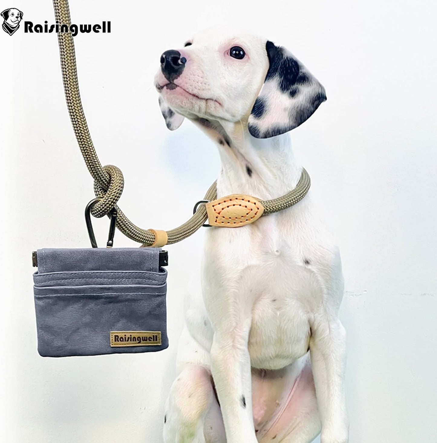 Raisingwell Dog Treat Pouch, Black Pocket Sized Pet Training Pouch, Cotton Fabric, Hand Free Dog Walking Bag with Carabiner, Self-Closing Pet Feed Snack Reward, for Pet Puppy Travel or Outdoor Use