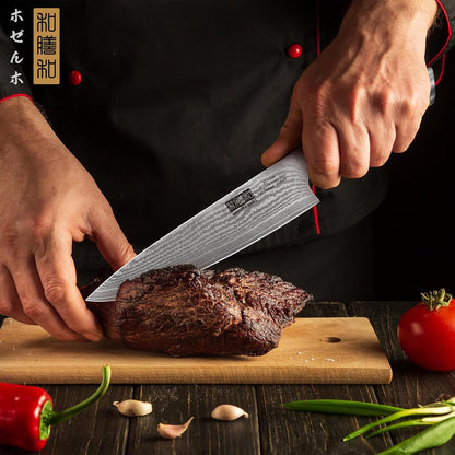 HOSHANHO Damascus Fillet Knife 7 Inch, Professional VG-10 Super Steel Boning Knife, Ultra Sharp Fish Knife with Ergonomic Handle