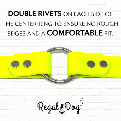 Regal Dog Products Small Orange Waterproof Dog Collar and Leash Set - Vinyl Coated, Biothane Puppy Pet Training Collar with Heavy Duty Center Ring & 5'ft Leash - Other Sizes for Medium & Large Dogs