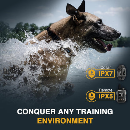 ABBIDOT Shock Collar - 4500ft Range Dog Training Collar, Super Mode, E-Clicker, Night Light, Safety Lock, Waterproof Rechargeable E Collar for Small Medium Large Dogs (Black, 1 Collar)