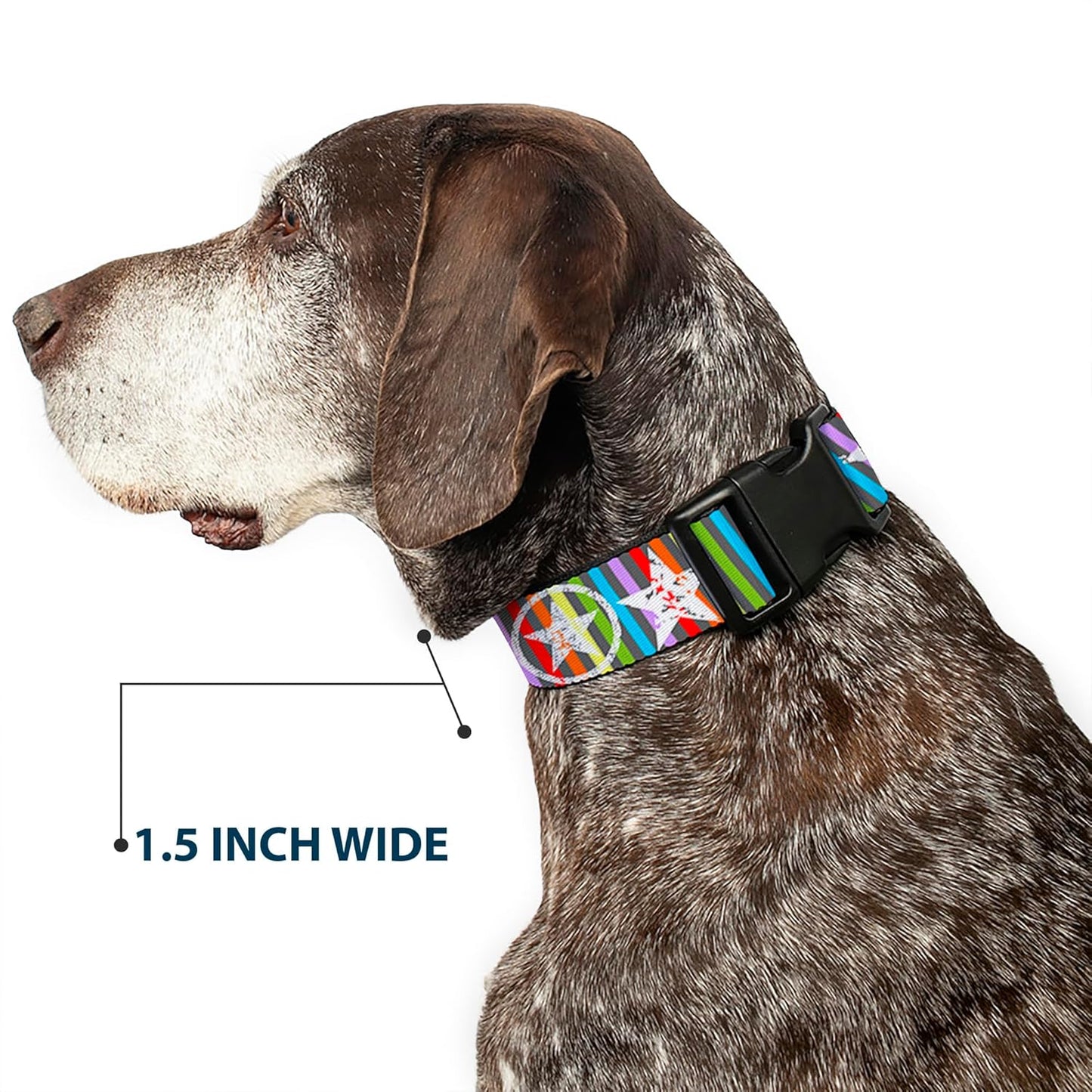 Buckle-Down PC-W21909-M Dog Collar Plastic Clip Buckle, 1"x11"-17", Star Black/White