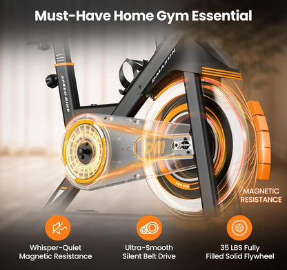 DMASUN Exercise Bike,350 LBS Magnetic Resistance Stationary Bike with 4 Way Adjustable Seat, Hand Pulse Heart Rate, LCD Display, Quiet Belt Drive for Home Cardio Workout