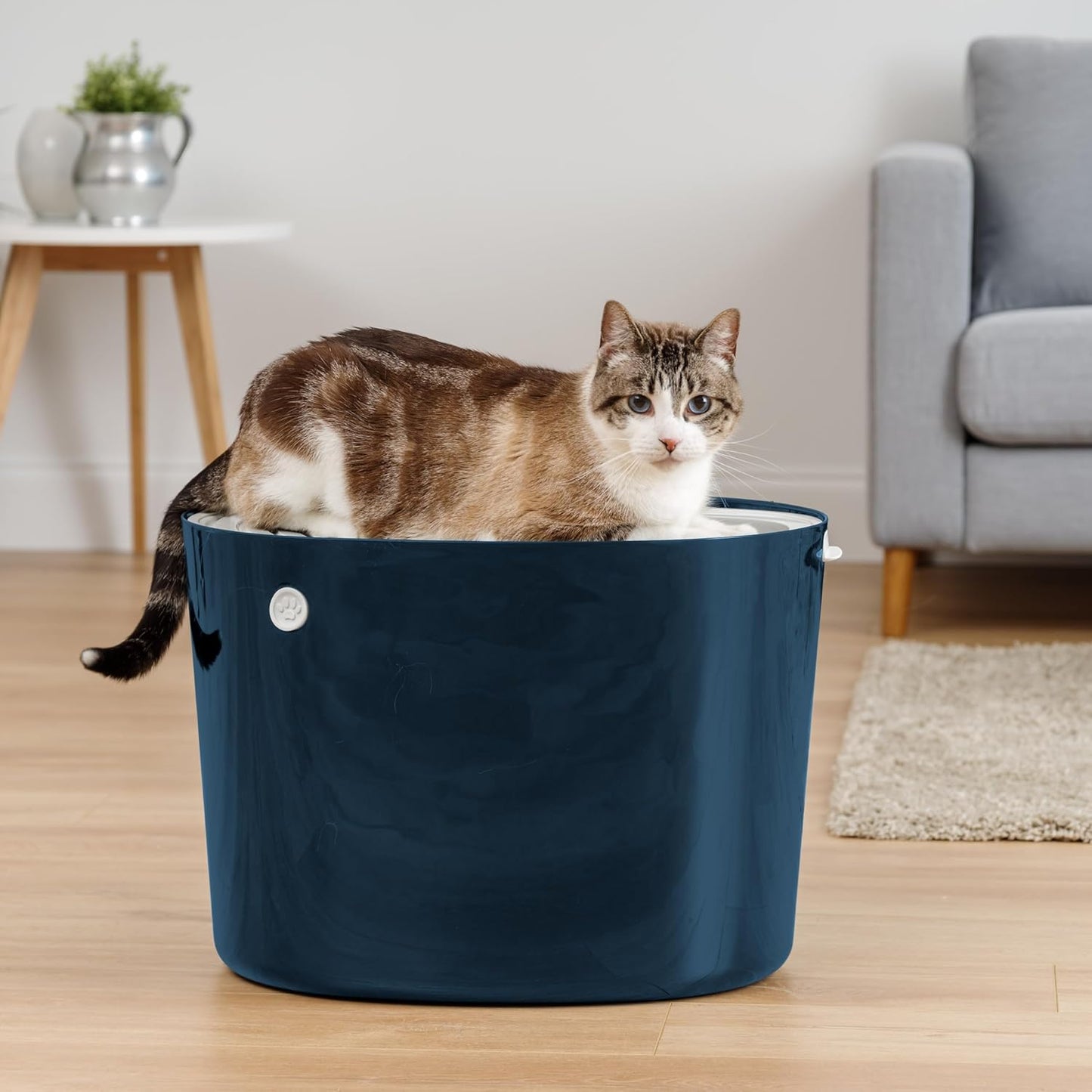 IRIS USA Top Entry Cat Litter Box with Scoop - Large - Stylish Enclosed Round Oval Kitty Dog Proof Box, Litiere Pour Chat Bac - White/Beige
