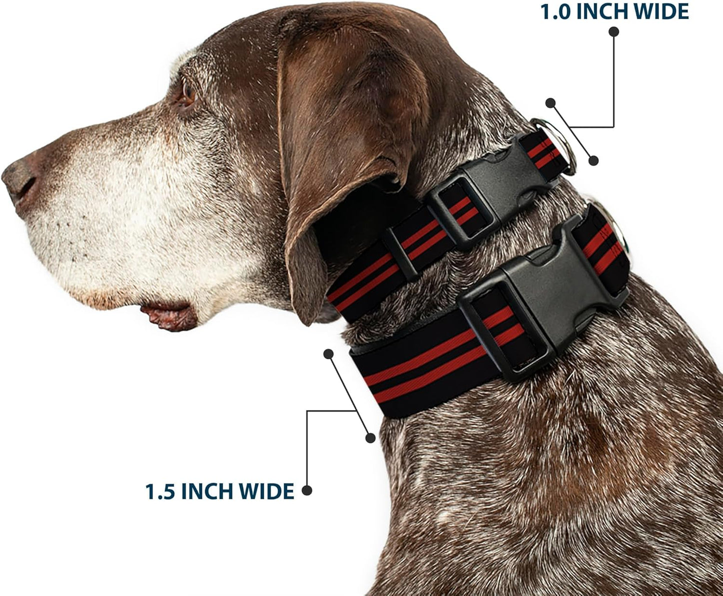 Buckle-Down PC-W21909-M Dog Collar Plastic Clip Buckle, 1"x11"-17", Star Black/White