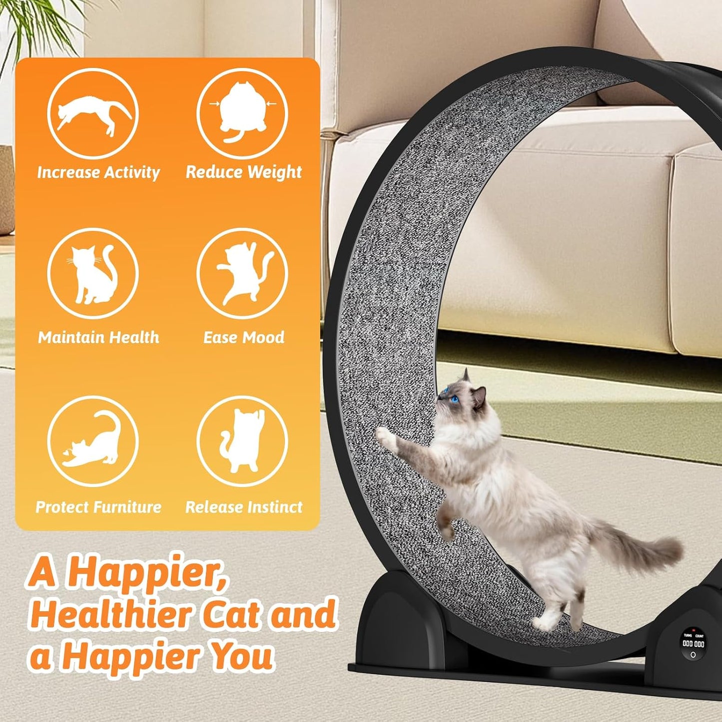 Cat Exercise Wheel with Pedometer, 44" Large Cat Running Treadmill with Carpeted Runway for Indoor Cats Up to 30 lbs, Small Animal Health & Fitness (No Electronics) (Black-Gray Carpet)