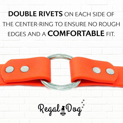 Regal Dog Products Small Orange Waterproof Dog Collar and Leash Set - Vinyl Coated, Biothane Puppy Pet Training Collar with Heavy Duty Center Ring & 5'ft Leash - Other Sizes for Medium & Large Dogs
